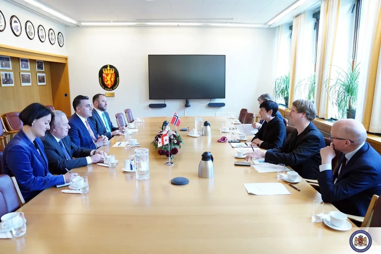 ILIA DARCHIASHVILI HAS MET WITH THE CHAIRWOMAN OF THE STANDING COMMITTEE ON FOREIGN AFFAIRS AND DEFENSE OF THE NORWEGIAN PARLIAMENT